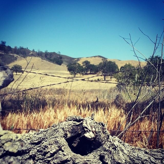 10432135_10202286517152754_3209867854790275621_n