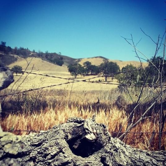 10432135_10202286517152754_3209867854790275621_n