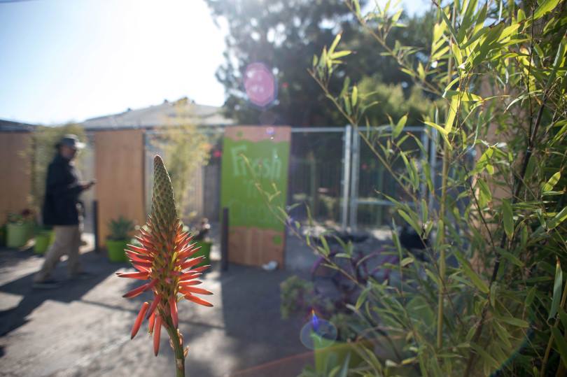 24067920_1935389503379472_1156248531020217081_n