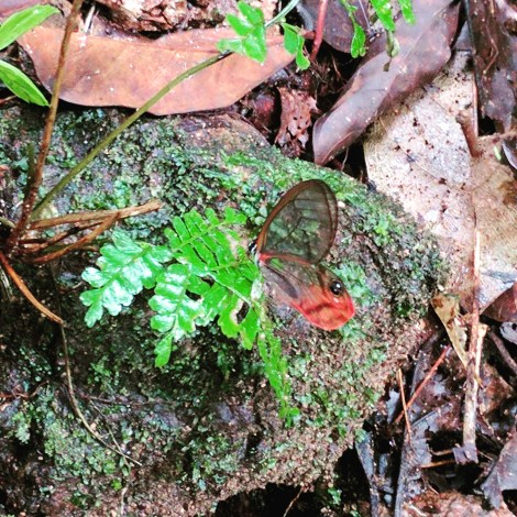 IMG_20180516_220513_318