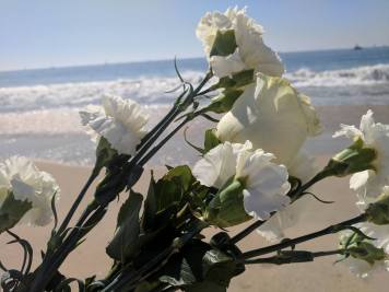 22448595_10210443175424113_7180594456181245771_n